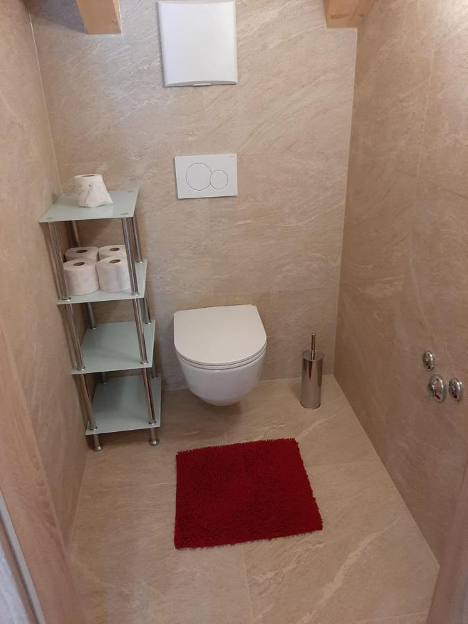 אלטאוסיי Ferienwohnung Leni מראה חיצוני תמונה
