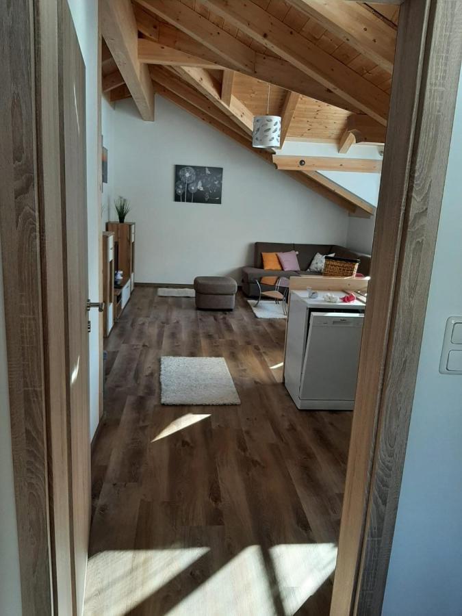 אלטאוסיי Ferienwohnung Leni מראה חיצוני תמונה